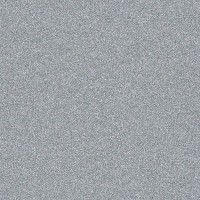 Lackiertes Glas nach Maß - Aluminium Rich 9007 Lackiertes Glas nach Maß - Aluminium Rich 9007